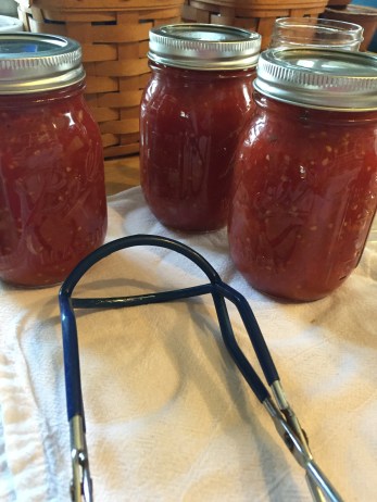 seasoned tomato sauce